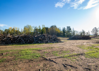 Costs of Land Clearing